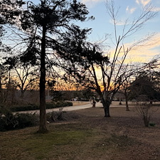 Safe-Again-Storm-Debris-Cleanup-In-Oxford-MS 19